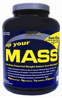 Up Your Mass, 2270 гр. MHP